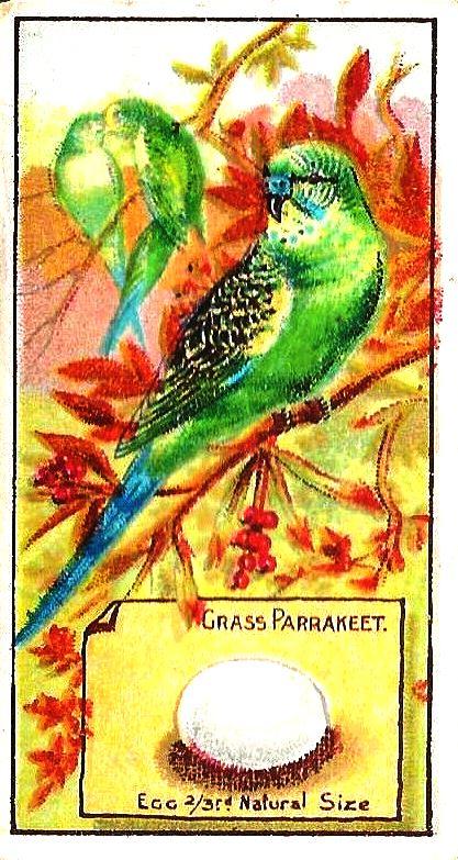 H.M.S. "Royal William."