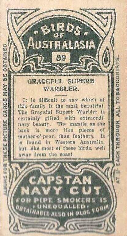 Graceful Superb Warbler  other card collectible - Main Image 2