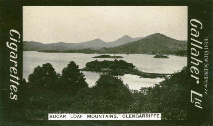 King's Colour 1st Battalion Irish Guards 1901-1913