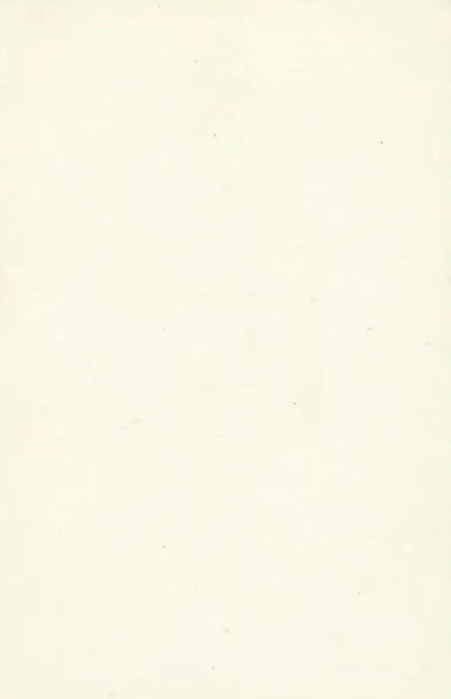 Lassie  other card collectible - Main Image 2