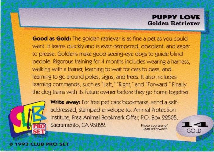 Golden Retriever  other card collectible - Main Image 2