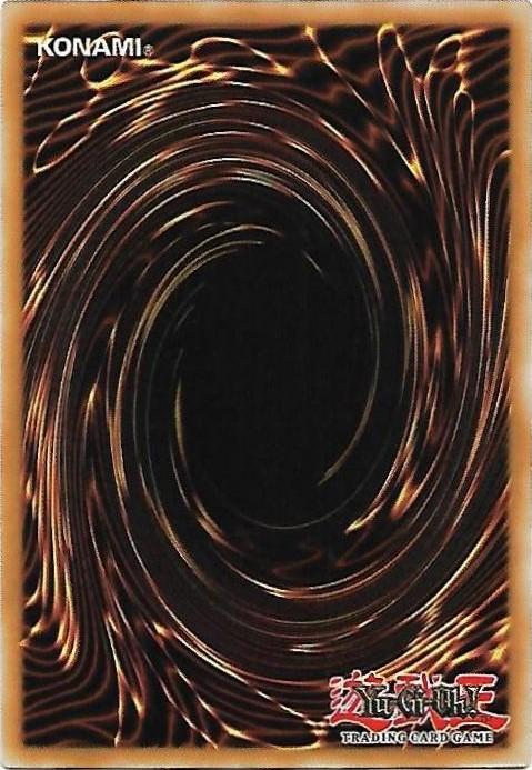 Amazoness Fighter yugioh card collectible - Main Image 2