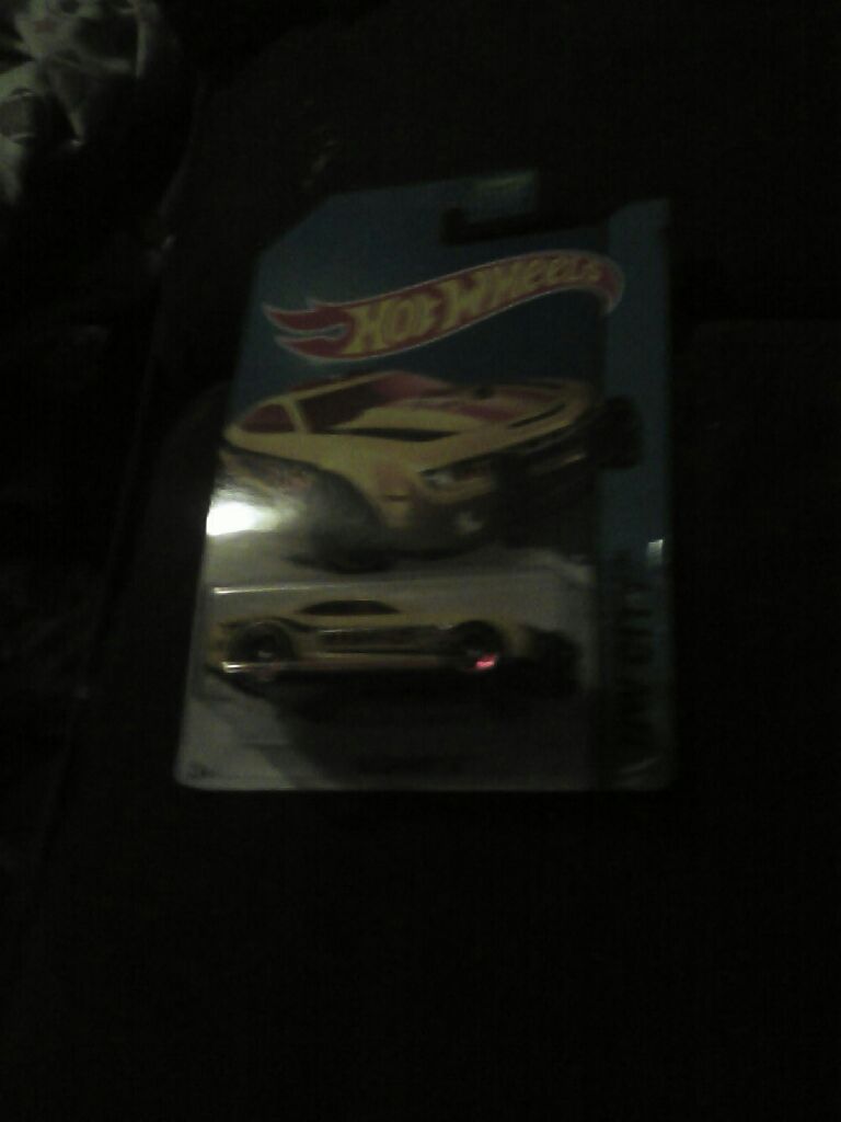 Me Handicap Horse and Trailer