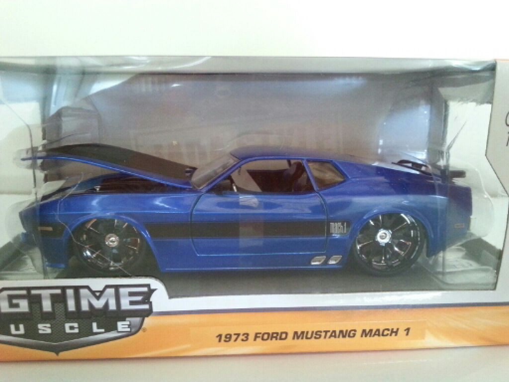 Tiger Van Cabo Rojo Day