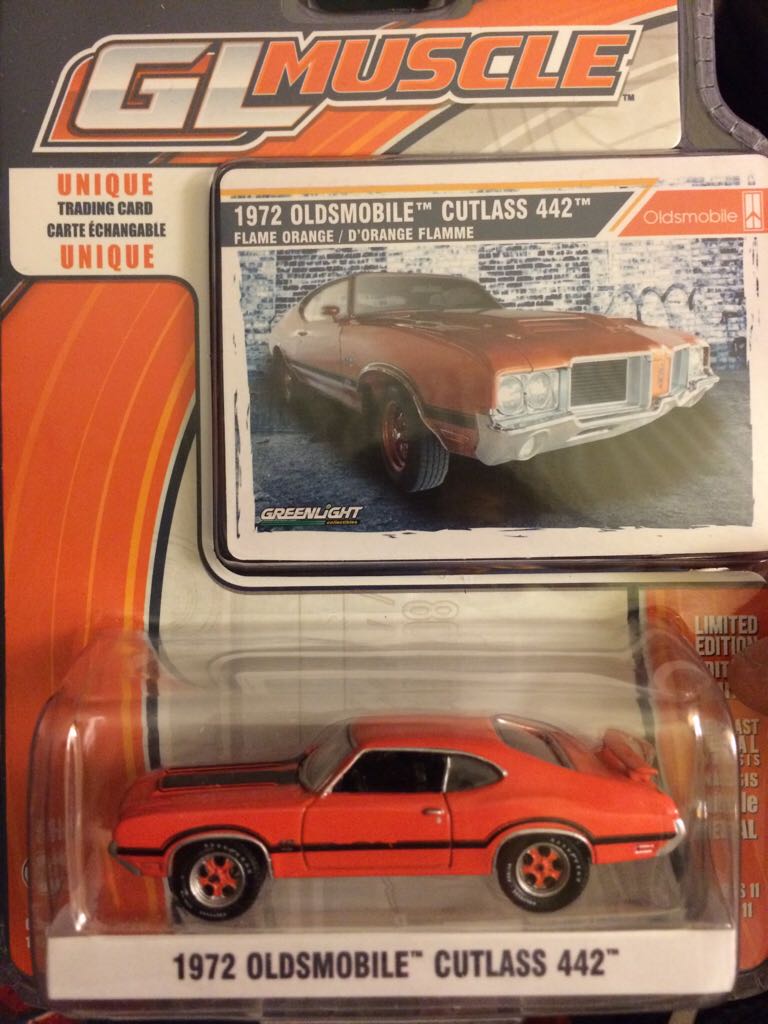 Mandrill Female with Baby