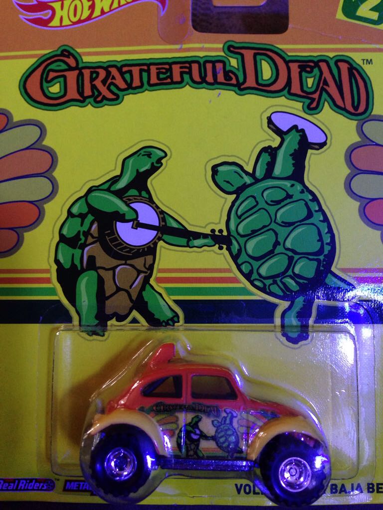 Indian Elephant Calf