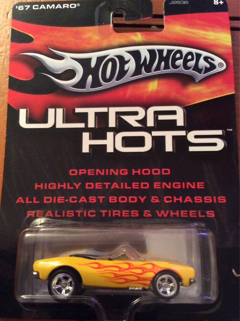 African Elephant, Male