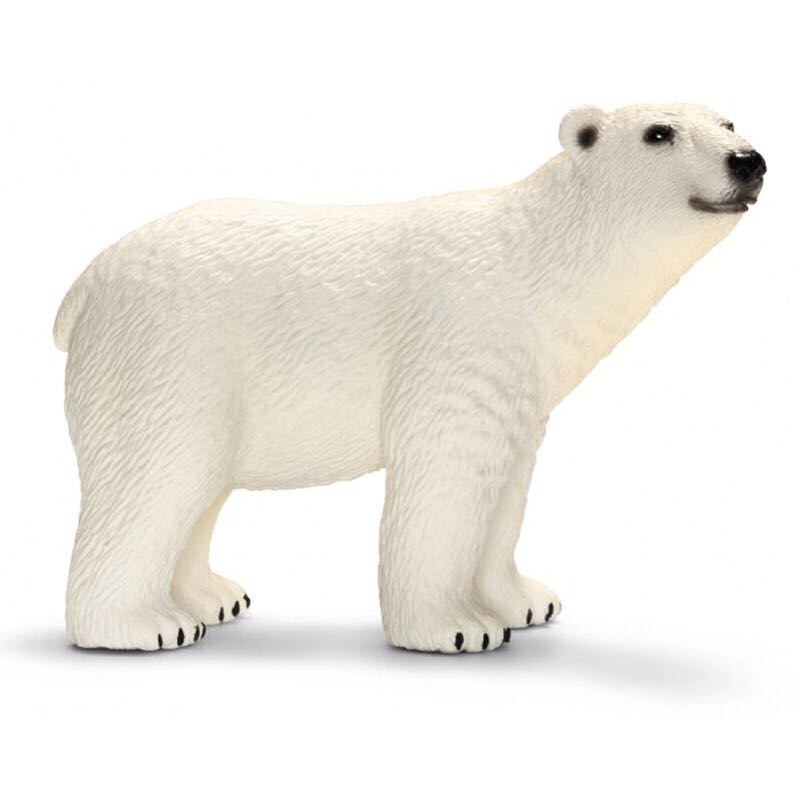 Image 59472
