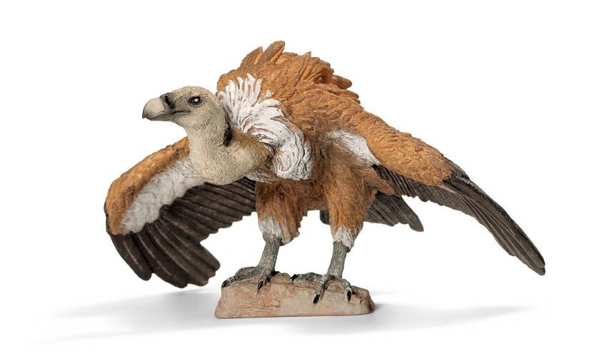 Griffon Vulture - Birds of Prey toy car collectible - Main Image 1