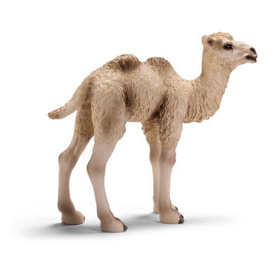 Chevrolet Corvette Grand Sport