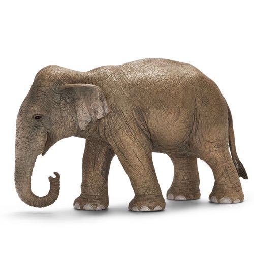 Brian’s 1999 Nissan Skyline GT-R