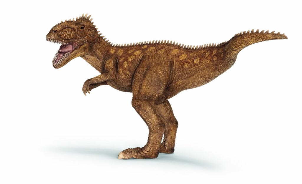 JL Frightning Lightnings Munster Koach