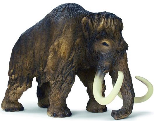 Porche 934 Turbo RSR (black)