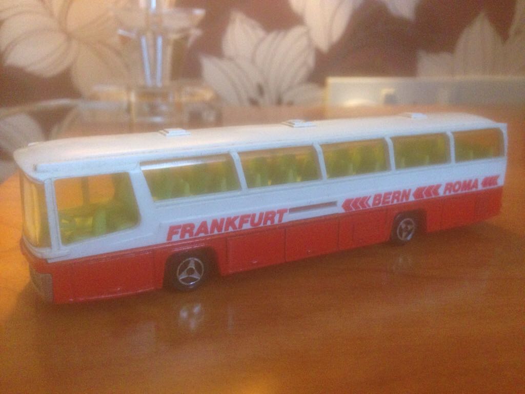 Giant Tortoise Young