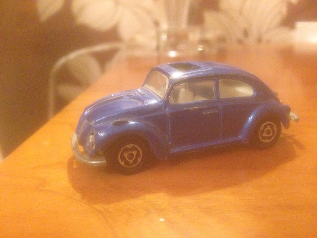 Bernese Mountain Dog Puppy