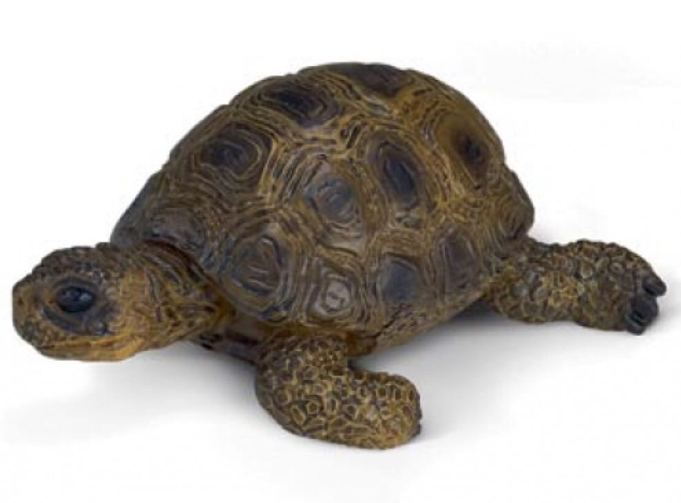 U.S.S. Enterprise NCC-1701-B