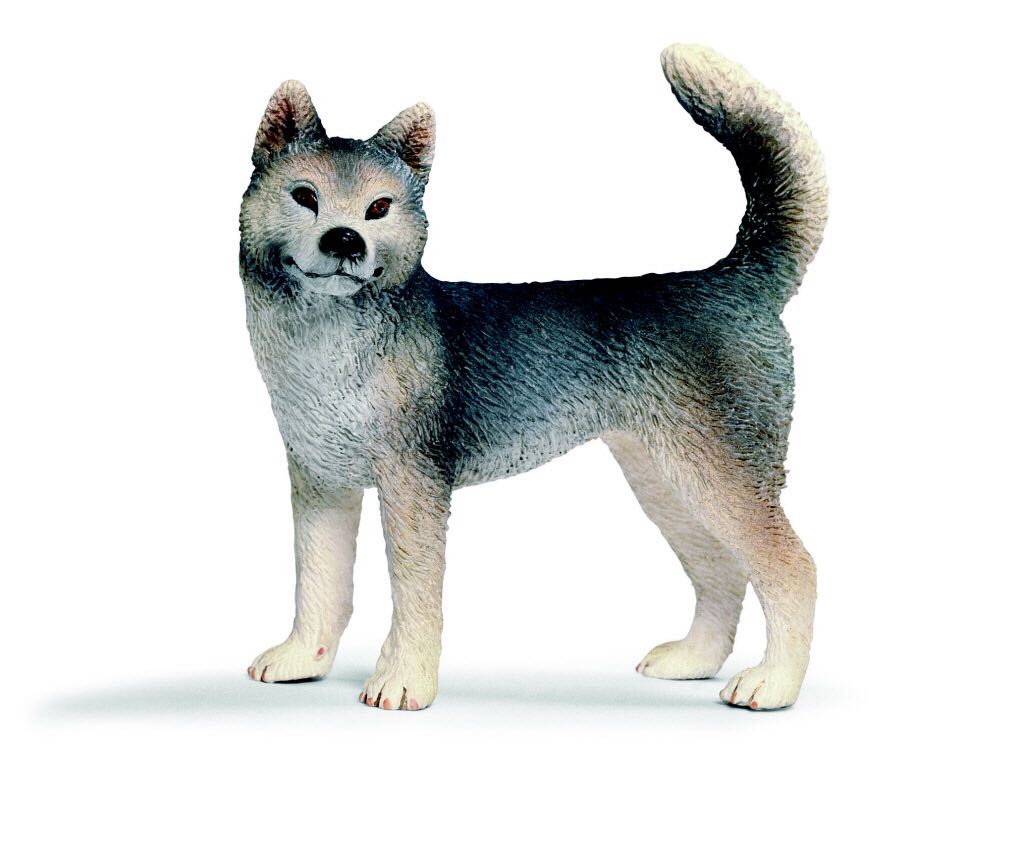 Image 60864