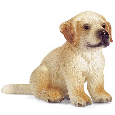 ’10 Ford Shelby GT500 