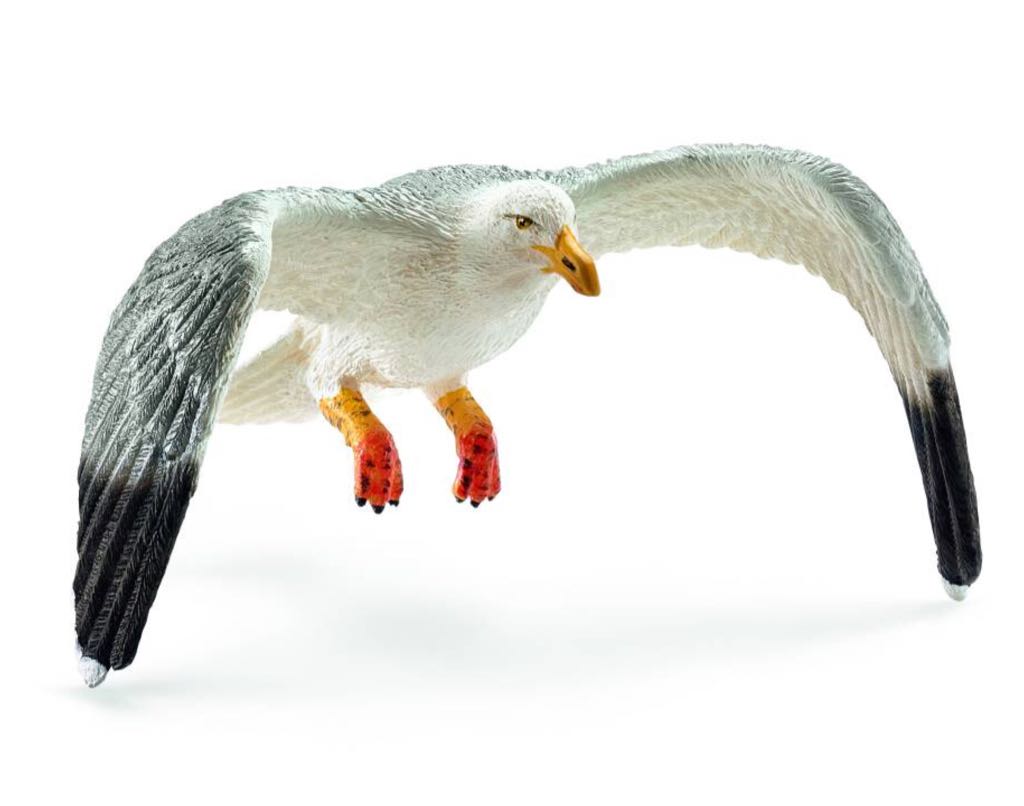 Blue-and-Yellow Macaw