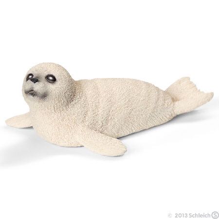 Image 60896