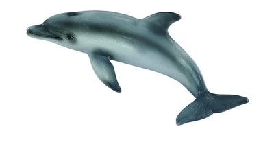 Image 60912