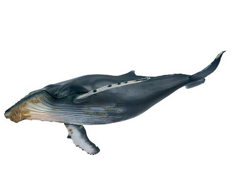 Humpback Whale  toy car collectible - Main Image 1