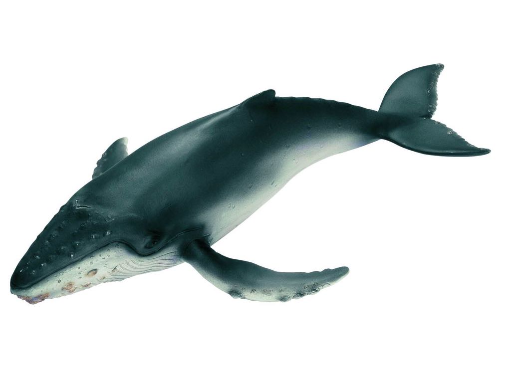 General Lee: 1969 Dodge Charger