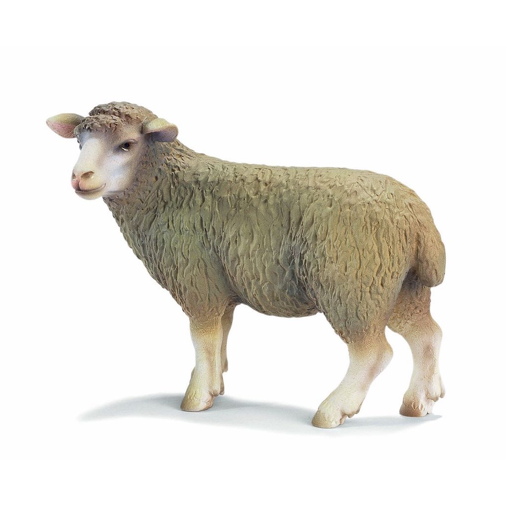Image 60958