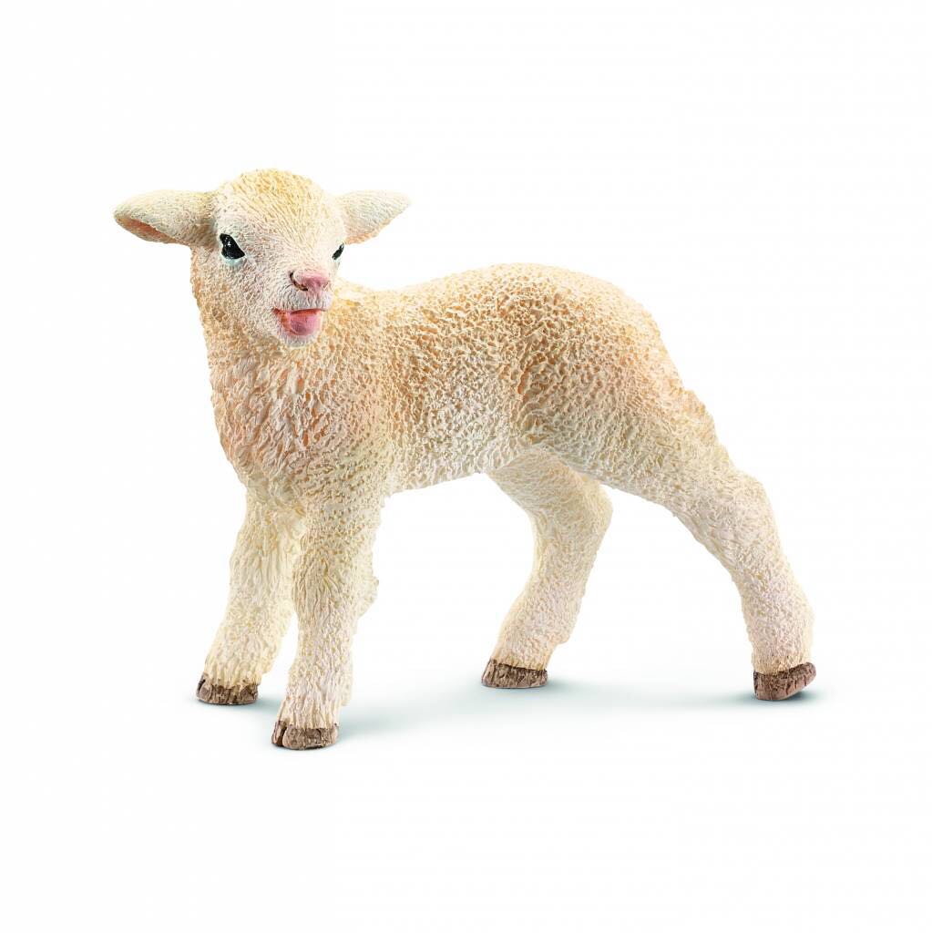 Image 60962