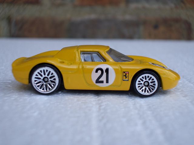 Bernese Mountain Dog Female