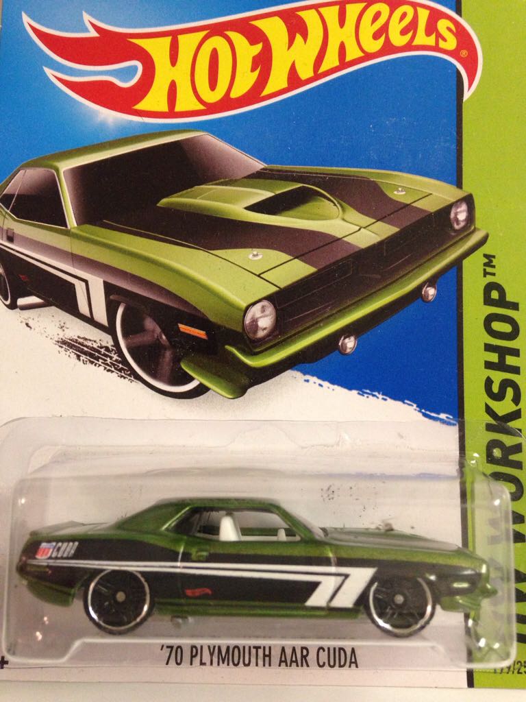 Bernese Mountain Dog Puppy