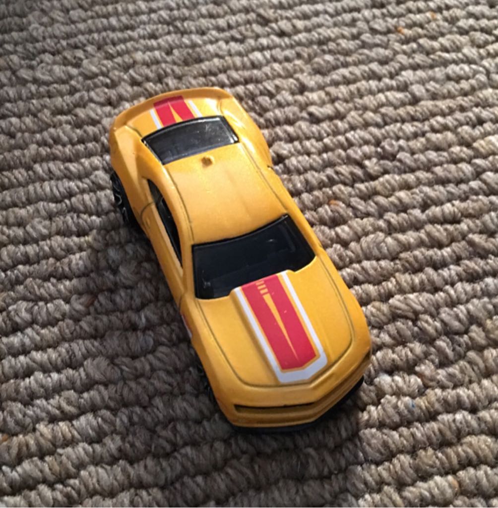 Custom Volkswagen Hauler