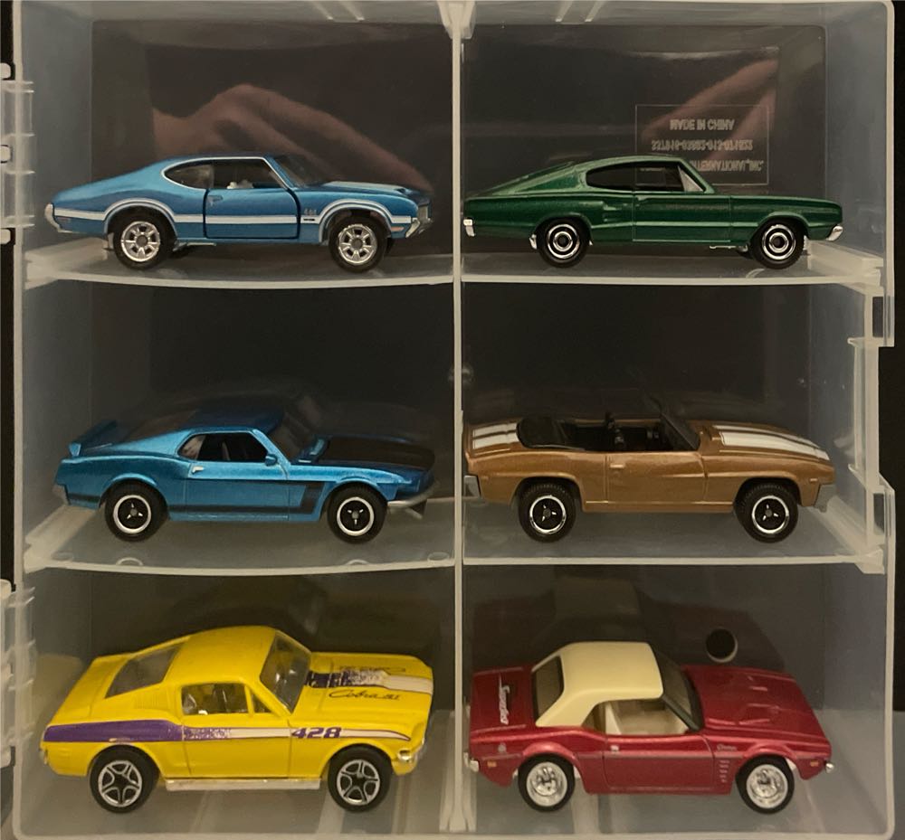 Muscle 2