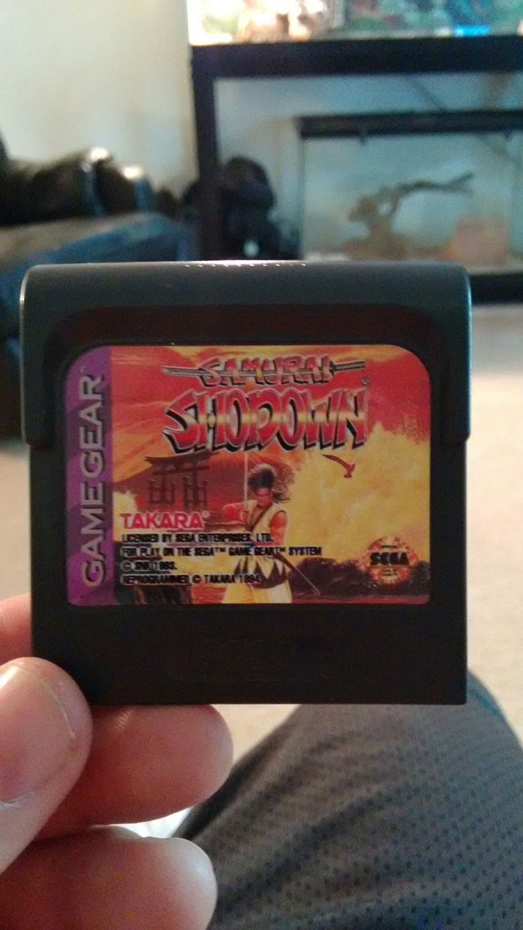 Dragon Ball Z: The Legacy of Goku II