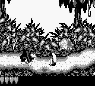 Donkey Kong Land - Nintendo Game Boy (Nintendo - 1) video game collectible [Barcode 045496730369] - Main Image 3