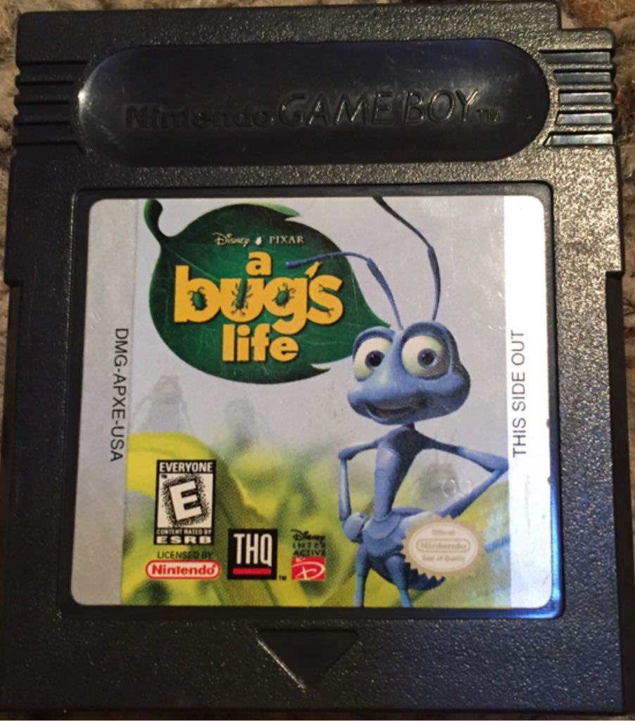 Image 1011158