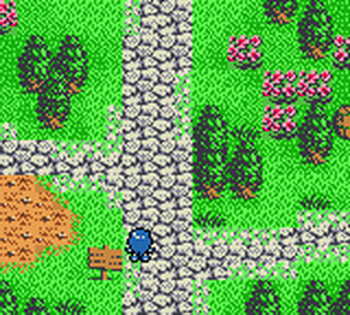 Lufia: The Legend Returns - Nintendo Game Boy Color (Natsume - 1) video game collectible [Barcode 719593020172] - Main Image 4