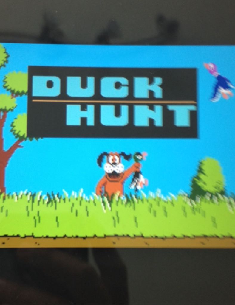 Duck Hunt - Nintendo Super Nintendo Entertainment System (SNES) (Nintendo) video game collectible [Barcode 628427440287] - Main Image 2