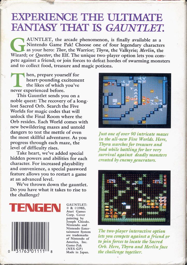 Gauntlet - Nintendo Entertainment System (NES) (Tengen) video game collectible - Main Image 2