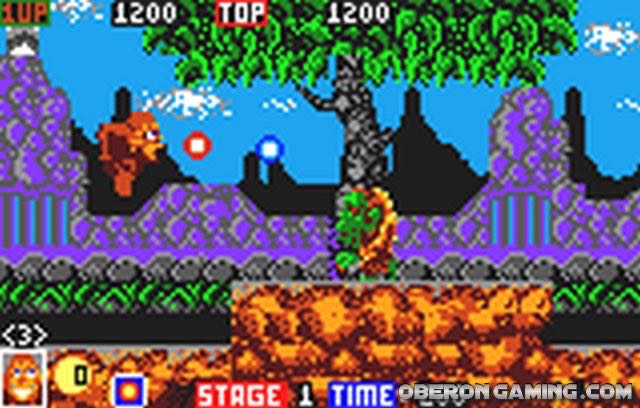 Toki - Atari Lynx (Atari - 1) video game collectible - Main Image 4