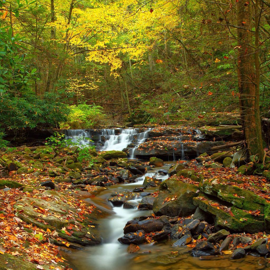 Kawasaki Superbike Challenge