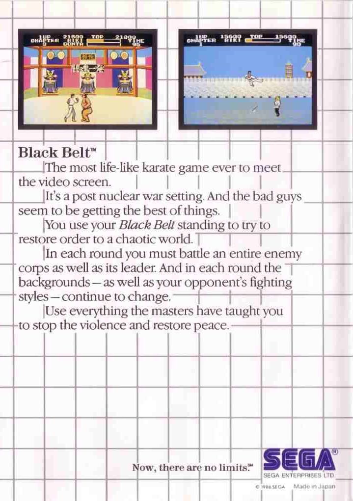 Black Belt - Sega Master System (Sega - 1) video game collectible - Main Image 2