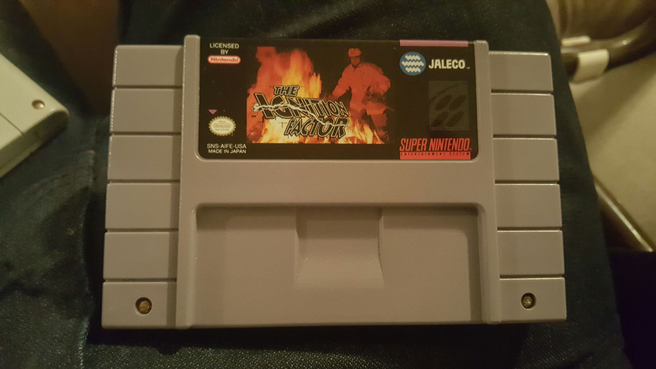 Shaun White Skateboarding