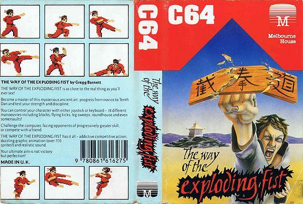 Professional Ski Simulator