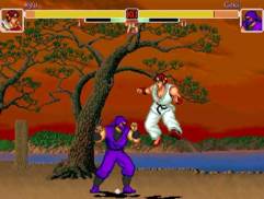 Street Fighter  video game collectible - Main Image 1
