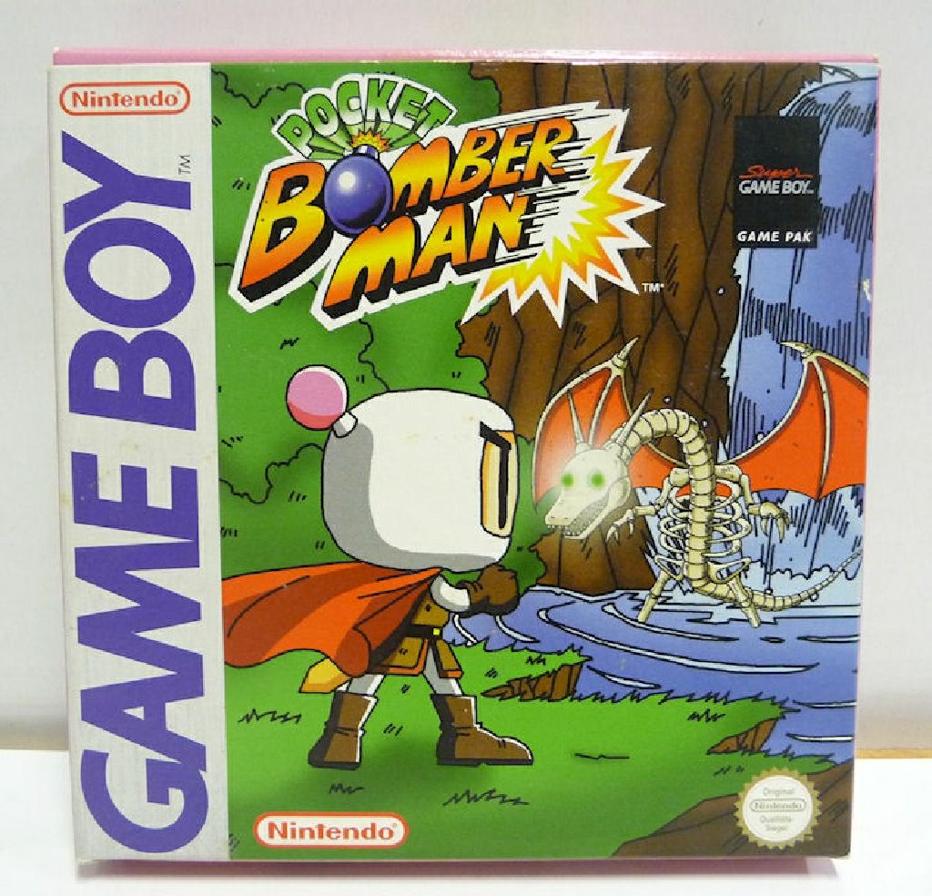 MIG-29 Fighter Pilot