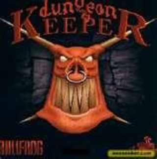 Shaun White Skateboarding