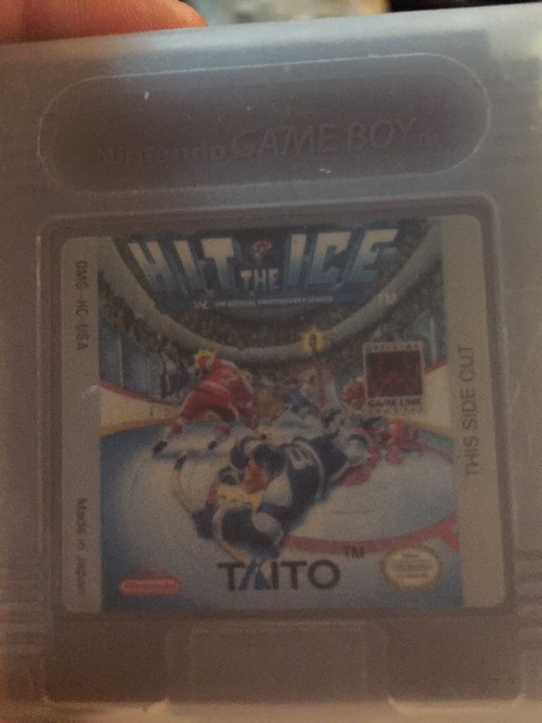 Shaun White Skateboarding