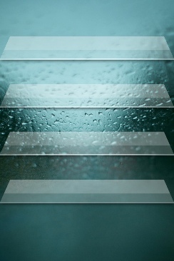 EA Sports Active 2 Personal Trainer