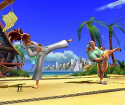 All Star Karate - Nintendo Wii (THQ - 1) video game collectible [Barcode 4005209132480] - Main Image 2